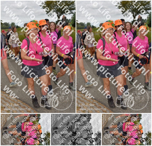 Evenement foto: Nijmeegse Vierdaagse 758