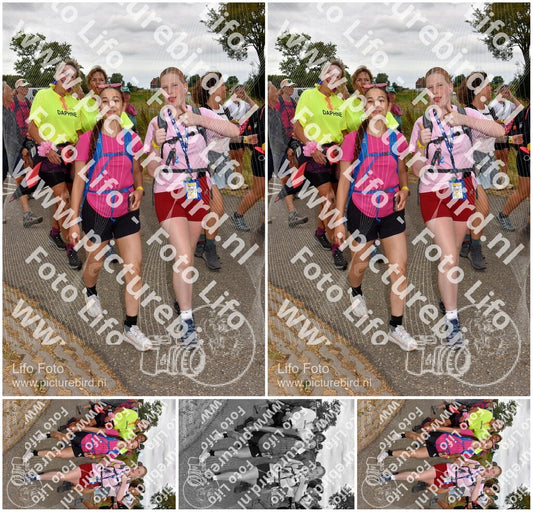Evenement foto: Nijmeegse Vierdaagse 758