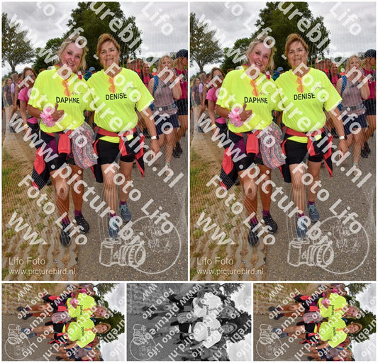 Evenement foto: Nijmeegse Vierdaagse 758