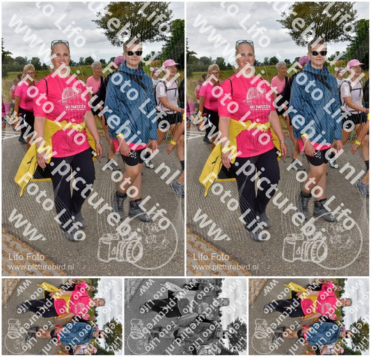 Evenement foto: Nijmeegse Vierdaagse 758