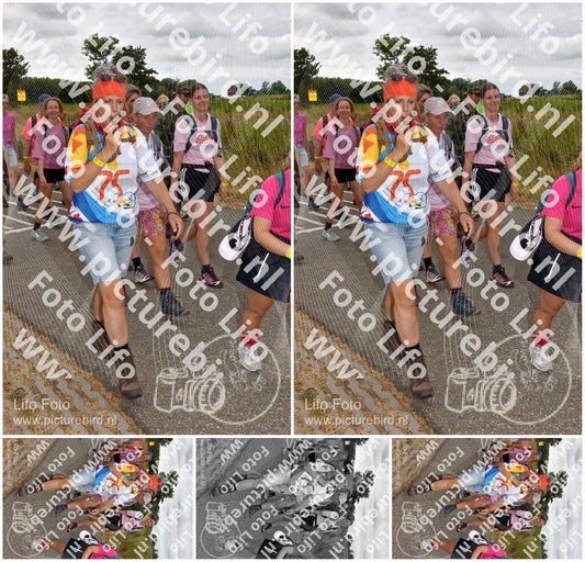 Evenement foto: Nijmeegse Vierdaagse 758
