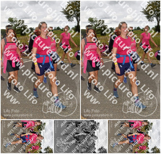 Evenement foto: Nijmeegse Vierdaagse 758
