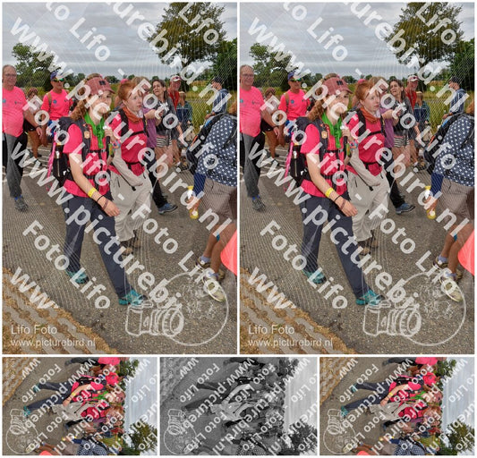 Evenement foto: Nijmeegse Vierdaagse 757