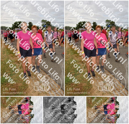 Evenement foto: Nijmeegse Vierdaagse 757