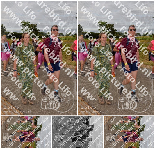 Evenement foto: Nijmeegse Vierdaagse 757