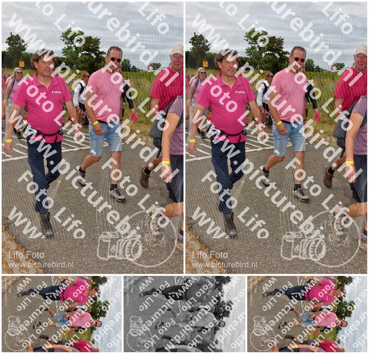 Evenement foto: Nijmeegse Vierdaagse 757