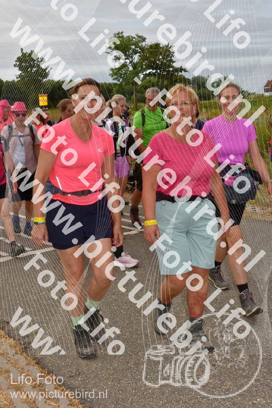Evenement foto: Nijmeegse Vierdaagse 757