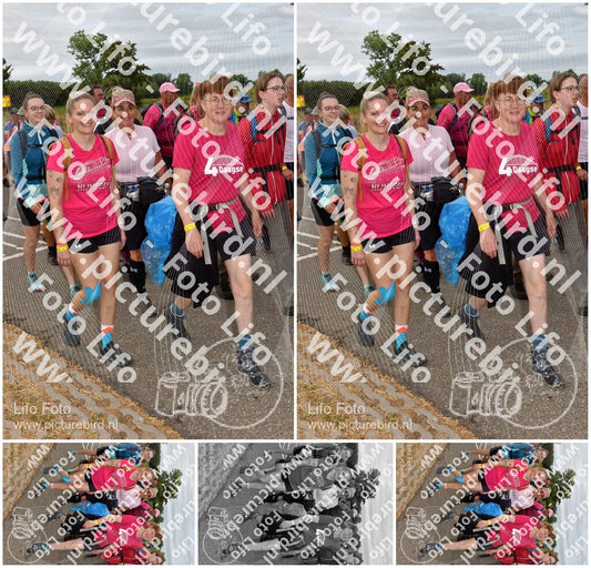 Evenement foto: Nijmeegse Vierdaagse 757