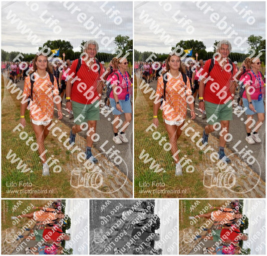 Evenement foto: Nijmeegse Vierdaagse 757