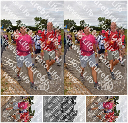 Evenement foto: Nijmeegse Vierdaagse 757