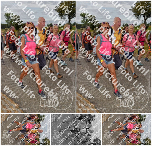 Evenement foto: Nijmeegse Vierdaagse 757