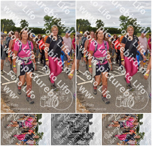 Evenement foto: Nijmeegse Vierdaagse 757