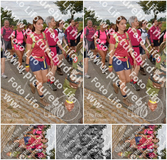 Evenement foto: Nijmeegse Vierdaagse 757