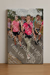 Evenement foto: Nijmeegse Vierdaagse 757