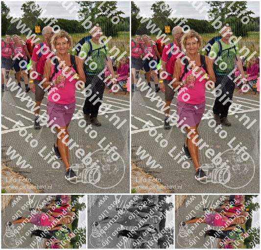 Evenement foto: Nijmeegse Vierdaagse 757