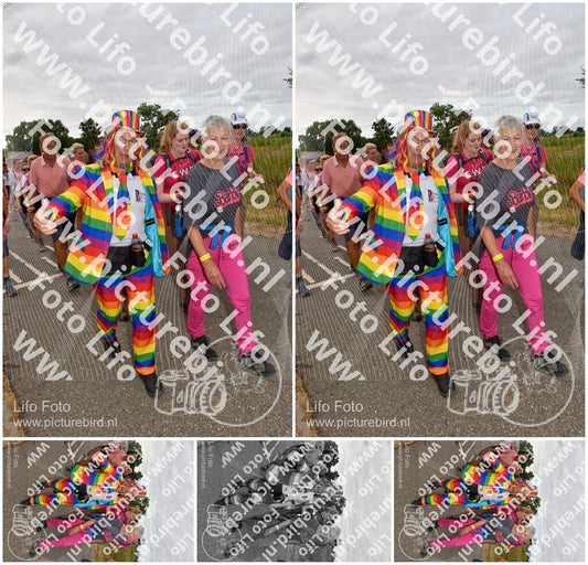 Evenement foto: Nijmeegse Vierdaagse 757