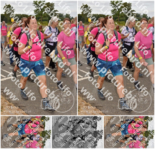 Evenement foto: Nijmeegse Vierdaagse 757