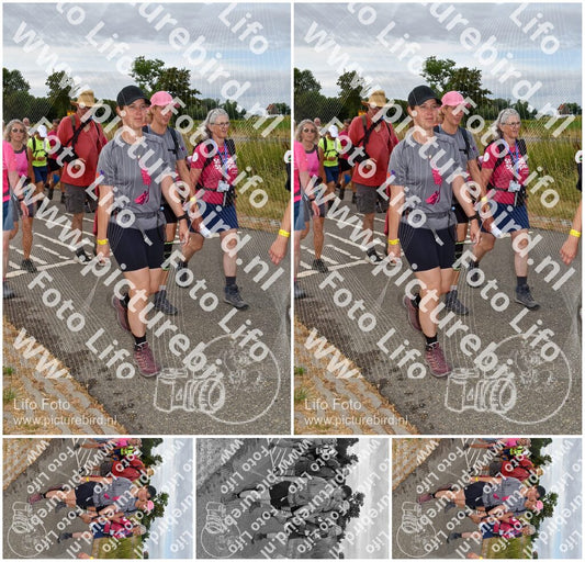 Evenement foto: Nijmeegse Vierdaagse 756