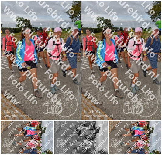 Evenement foto: Nijmeegse Vierdaagse 756