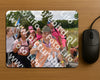 Evenement foto: Nijmeegse Vierdaagse 756