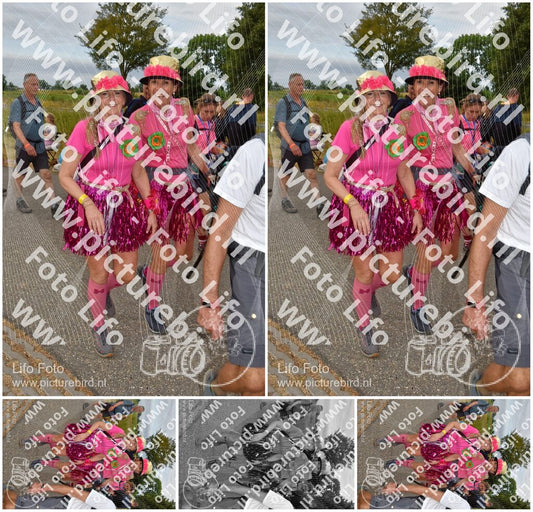 Evenement foto: Nijmeegse Vierdaagse 756