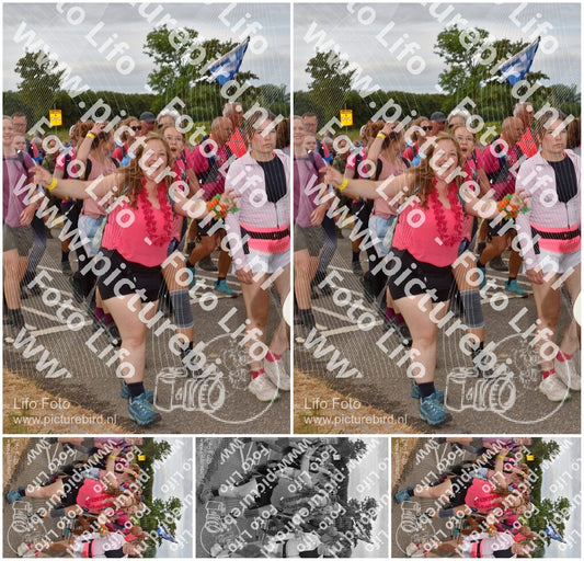 Evenement foto: Nijmeegse Vierdaagse 756