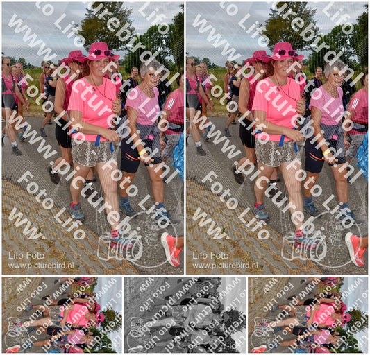 Evenement foto: Nijmeegse Vierdaagse 756