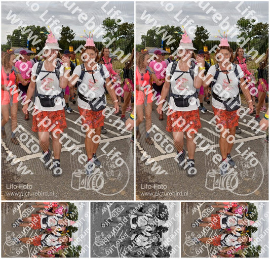 Evenement foto: Nijmeegse Vierdaagse 756