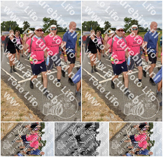 Evenement foto: Nijmeegse Vierdaagse 756