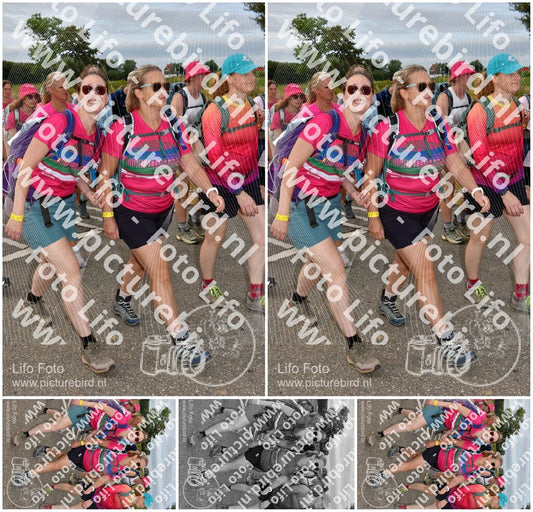 Evenement foto: Nijmeegse Vierdaagse 756