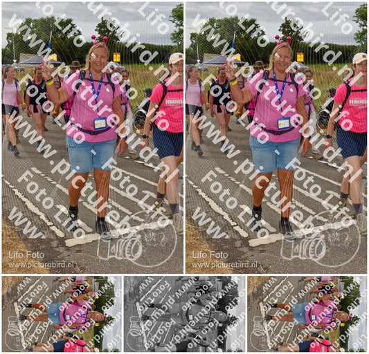 Evenement foto: Nijmeegse Vierdaagse 756