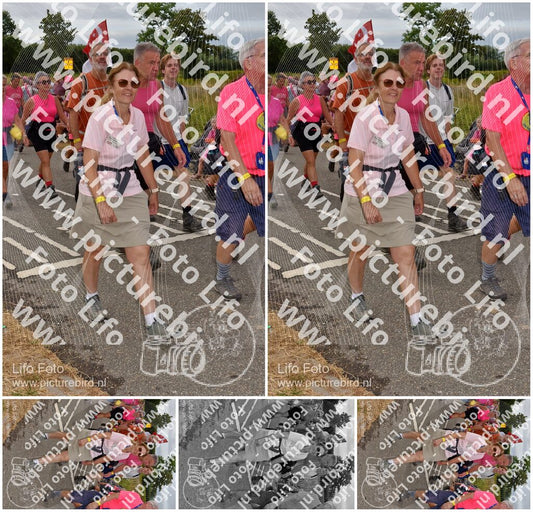 Evenement foto: Nijmeegse Vierdaagse 756