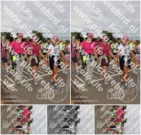Evenement foto: Nijmeegse Vierdaagse 756