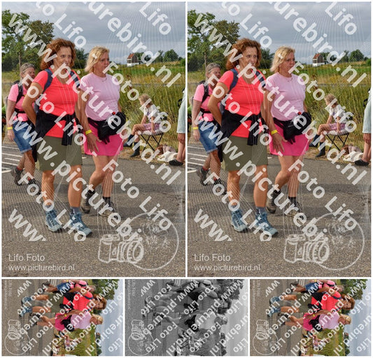 Evenement foto: Nijmeegse Vierdaagse 755