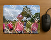 Evenement foto: Nijmeegse Vierdaagse 755