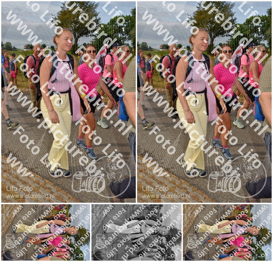 Evenement foto: Nijmeegse Vierdaagse 755
