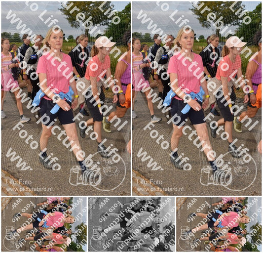 Evenement foto: Nijmeegse Vierdaagse 755