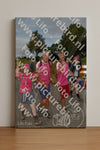 Evenement foto: Nijmeegse Vierdaagse 755