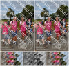 Evenement foto: Nijmeegse Vierdaagse 755