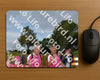 Evenement foto: Nijmeegse Vierdaagse 755