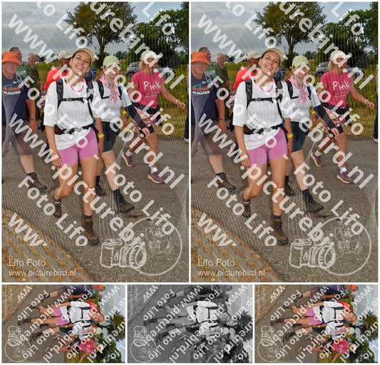 Evenement foto: Nijmeegse Vierdaagse 755
