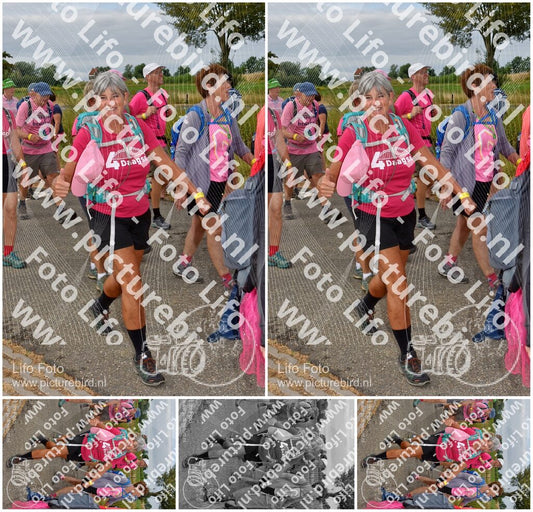 Evenement foto: Nijmeegse Vierdaagse 755