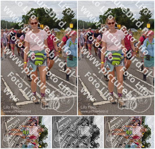 Evenement foto: Nijmeegse Vierdaagse 755