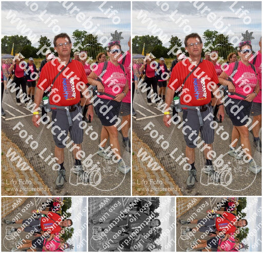 Evenement foto: Nijmeegse Vierdaagse 755