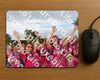 Evenement foto: Nijmeegse Vierdaagse 755