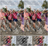 Evenement foto: Nijmeegse Vierdaagse 755