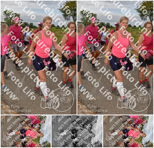 Evenement foto: Nijmeegse Vierdaagse 755