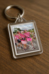 Evenement foto: Nijmeegse Vierdaagse 755