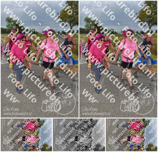 Evenement foto: Nijmeegse Vierdaagse 754