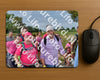 Evenement foto: Nijmeegse Vierdaagse 754